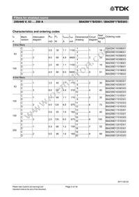 B84299D1630B3 Datasheet Page 4