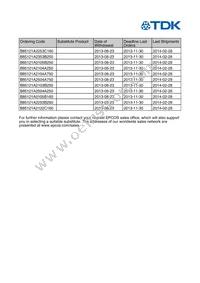 B85121A2253C160 Datasheet Page 2