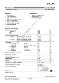 B88069X1620T602 Datasheet Page 2