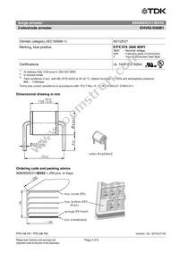 B88069X2213B252 Datasheet Page 3