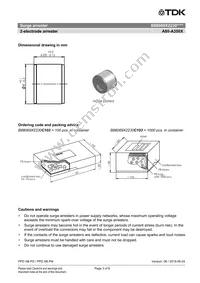 B88069X2230C103 Datasheet Page 3