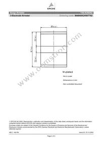 B88069X2450T702 Datasheet Page 2