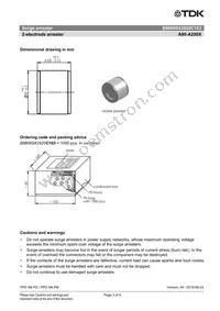 B88069X2920C103 Datasheet Page 3