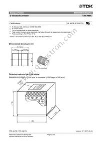 B88069X3030C253 Datasheet Page 3