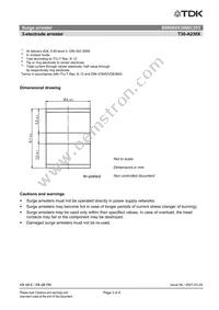 B88069X3060C253 Datasheet Page 3