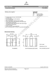 B88069X3120T702 Datasheet Page 3