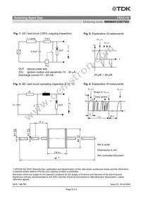 B88069X3350T502 Datasheet Page 4