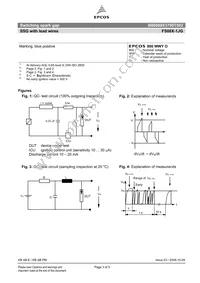 B88069X3790T502 Datasheet Page 3