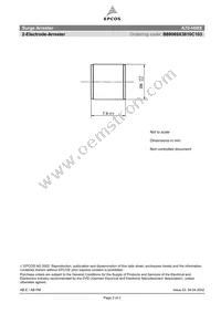 B88069X3810C103 Datasheet Page 2