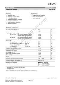 B88069X3881T502 Datasheet Page 2