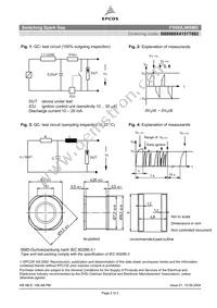 B88069X4151T602 Datasheet Page 2