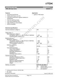 B88069X6331S102 Datasheet Page 2