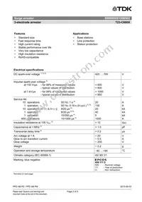 B88069X8120B502 Datasheet Page 2