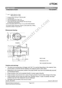 B88069X8630B502 Datasheet Page 3