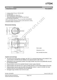 B88069X8860B502 Datasheet Page 3