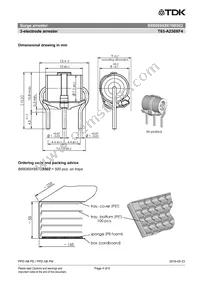 B88069X8870B502 Datasheet Page 4