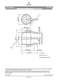 B88069X9290B502 Datasheet Page 2