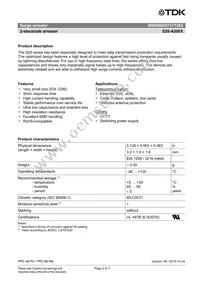 B88069X9731T303 Datasheet Page 2