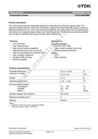 B88069X9991T203 Datasheet Page 2