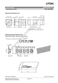 B88069X9991T203 Datasheet Page 4