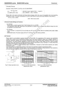 BA00CC0WCP-V5E2 Datasheet Page 13
