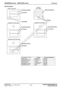 BA00CC0WCP-V5E2 Datasheet Page 20