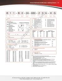 BA2-B0-22-625-227-D Datasheet Page 15