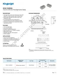 BC56-11SURKWA Datasheet Cover