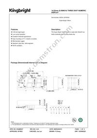 BC56-12SYKWA Datasheet Cover