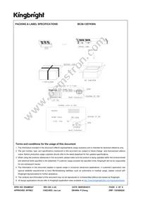 BC56-12SYKWA Datasheet Page 4