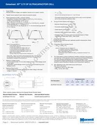 BCAP0005 P270 X01 Datasheet Page 2