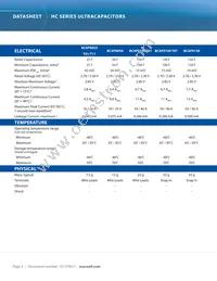 BCAP0025 P270 T11 Datasheet Page 3