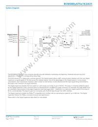 BCM380P475T1K2A31 Datasheet Page 17