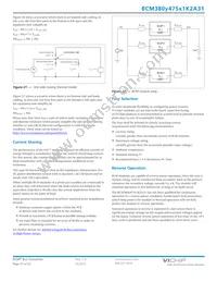 BCM380P475T1K2A31 Datasheet Page 21