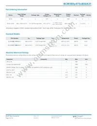 BCM380P475T800A31 Datasheet Page 4