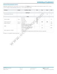 BCM380P475T800A31 Datasheet Page 15
