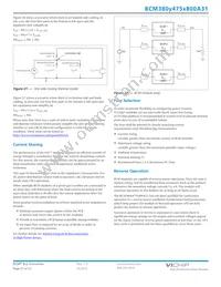 BCM380P475T800A31 Datasheet Page 21