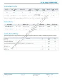 BCM384P120T800AC1 Datasheet Page 4