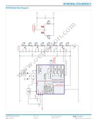 BCM384P120T800AC1 Datasheet Page 16