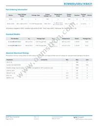 BCM400P500T1K8A31 Datasheet Page 4