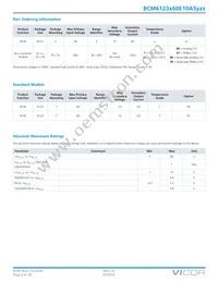 BCM6123T60E10A5T00 Datasheet Page 4