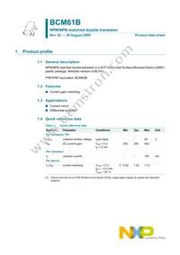 BCM61B Datasheet Page 2