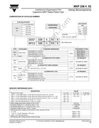 BFC233848025 Datasheet Page 2