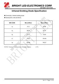 BIR-BM17J8V-FZ04 Datasheet Page 6