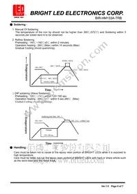 BIR-HM133A-TRB Datasheet Page 6