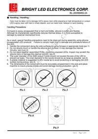 BL-2835B460-24 Datasheet Page 7