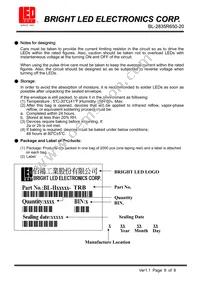 BL-2835R650-20 Datasheet Page 8