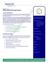 BL-42D0-0304 Datasheet Cover