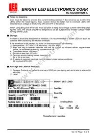 BL-HJLG6BH32M-A Datasheet Page 9