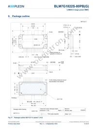 BLM7G1822S-80PBY Datasheet Page 13